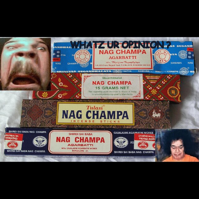 NAG CHAMPA