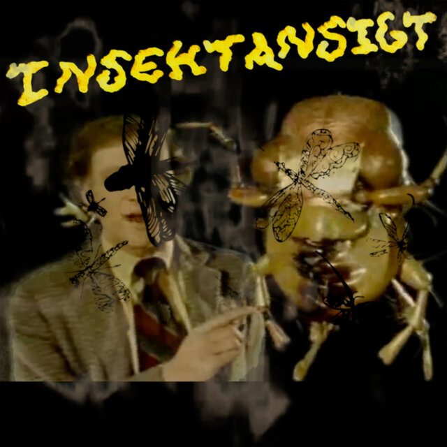 INSEKTANSIGT