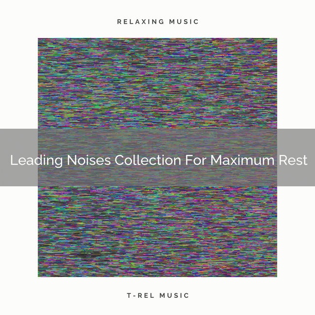 Leading Noises Collection For Maximum Rest