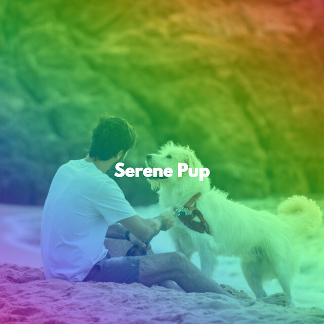 Serene Pup