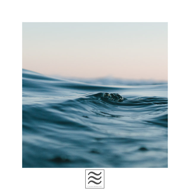 Sleepful Soothing Nice Ocean and Sea Soughs