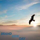 Brand New Day