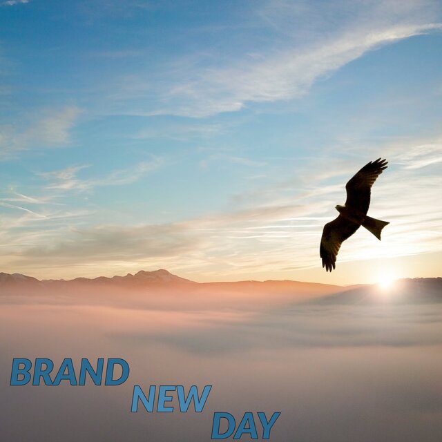 Brand New Day