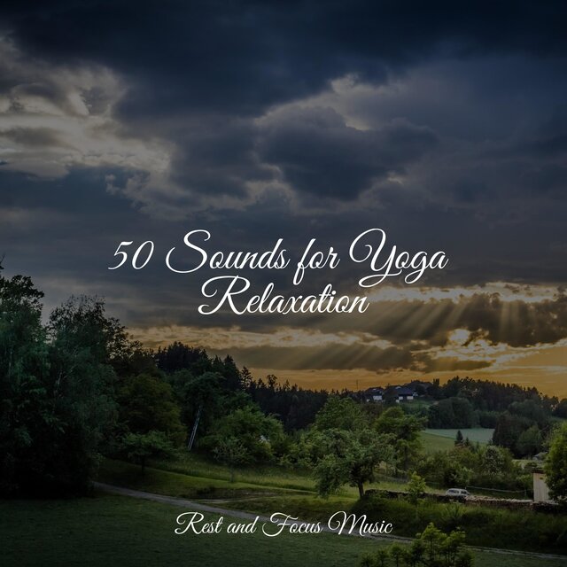 50 Sounds for Yoga Relaxation