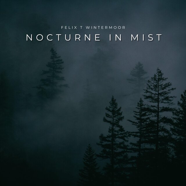 Nocturne in Mist