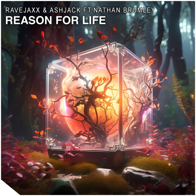 Reason For Life (feat. Nathan Brumley)