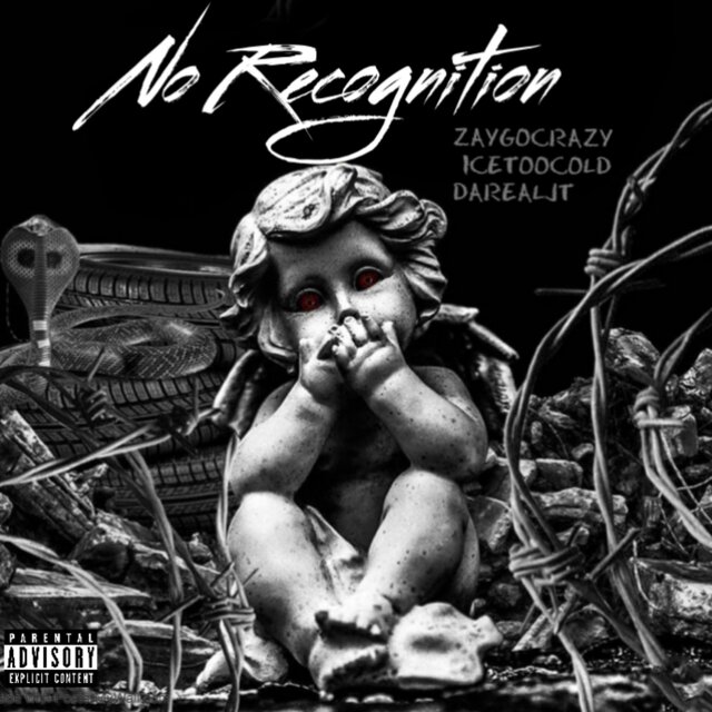 No Recognition