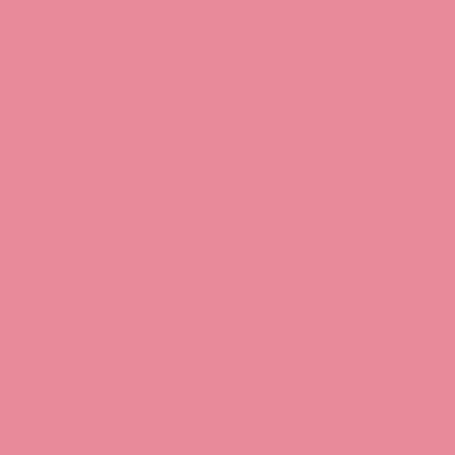 BL4NK TAPE #6