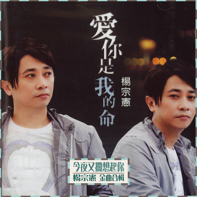 今夜又擱想起你