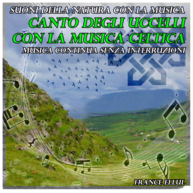 Suoni della natura con la musica: canto degli uccelli con la musica celtica