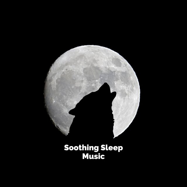 Soothing Sleep Music