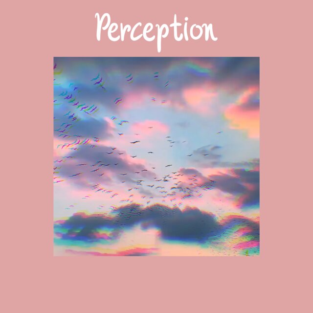 Perception