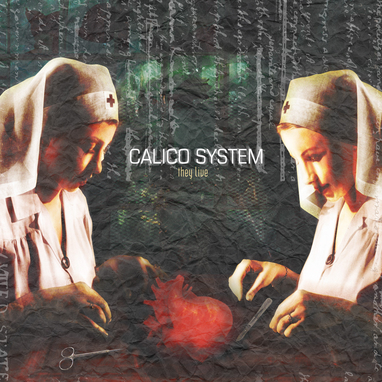 Calico System on TIDAL