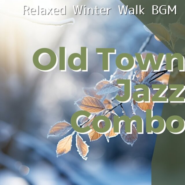 Relaxed Winter Walk Bgm