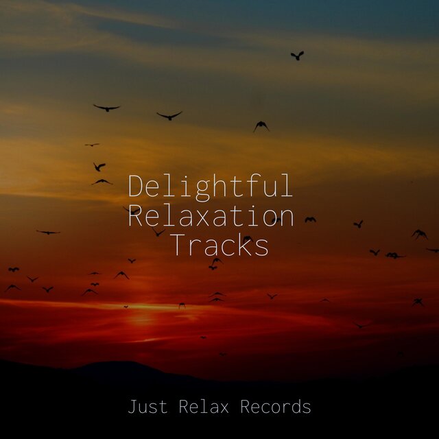 Delightful Relaxation Tracks