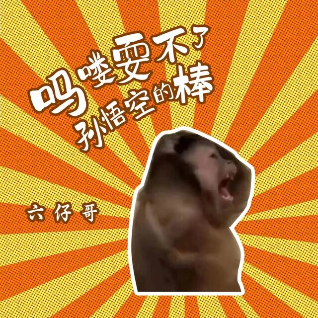 吗喽耍不了孙悟空的棒 (哈市DJ小海版)