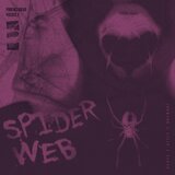 SPIDER WEB (Slow Reverb)