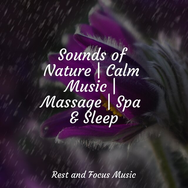 Sounds of Nature | Calm Music | Massage | Spa & Sleep by Zen on TIDAL