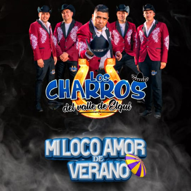 Mi loco amor de verano (Cover)