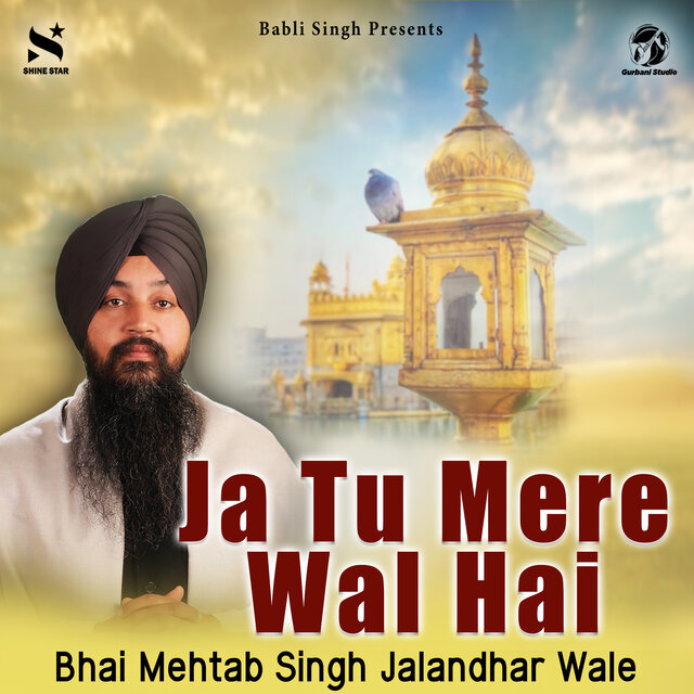 Ja Tu Mere Wal Hai