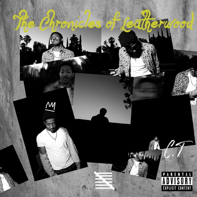 The Chronicles of Leatherwood