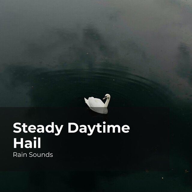 Steady Daytime Hail