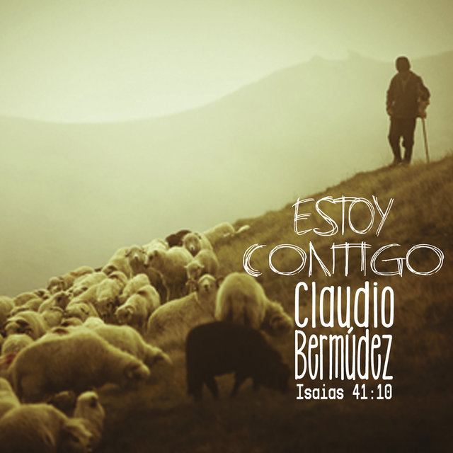 Estoy Contigo