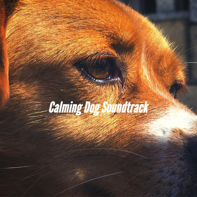 Calming Dog Soundtrack