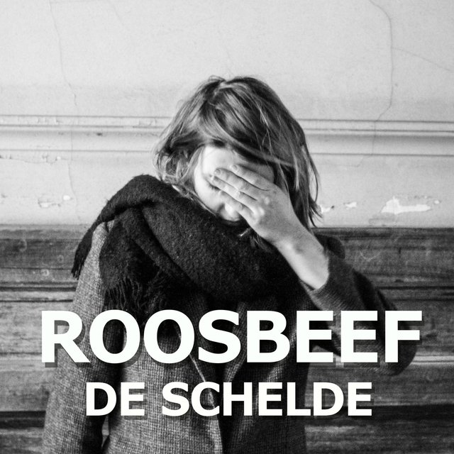 De Schelde
