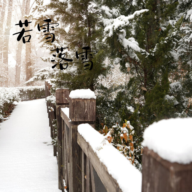 若雪落雪