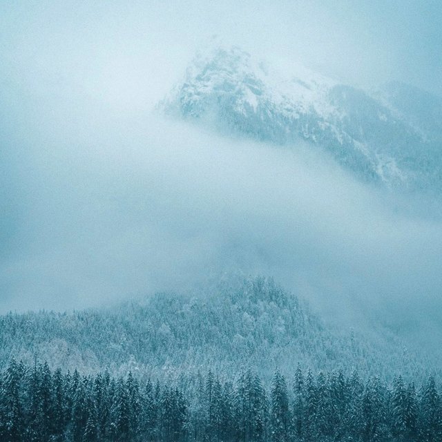 As the Snow Falls
