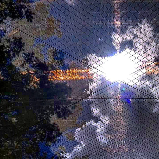 Pescando Luz