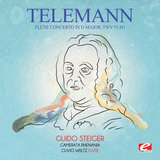 Flute Concerto in D Major, TWV 51:D1: IV. Allegro