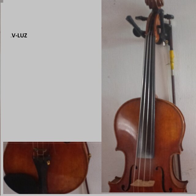 Vluz