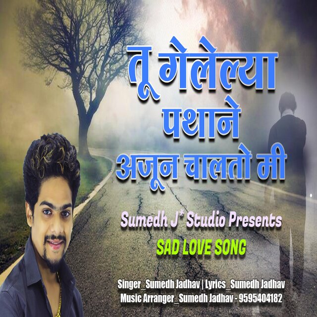 Tu Gelelya Pathane Ajun Chalato Me