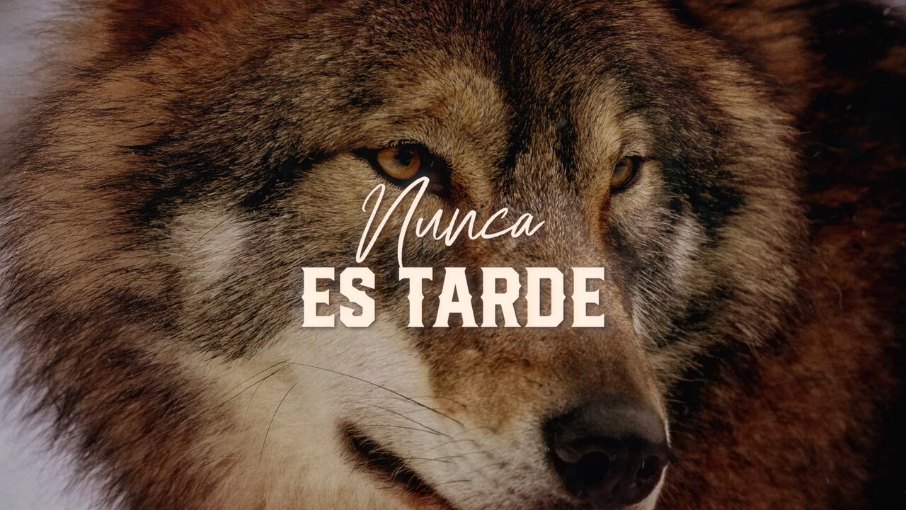 Nunca Es Tarde (LETRA)