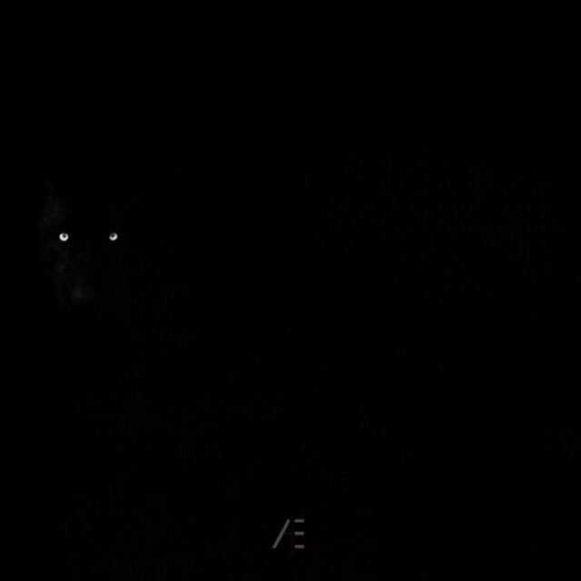 WOLVES