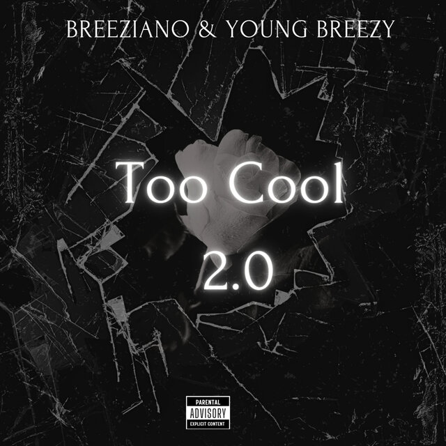 Too Cool 2.0