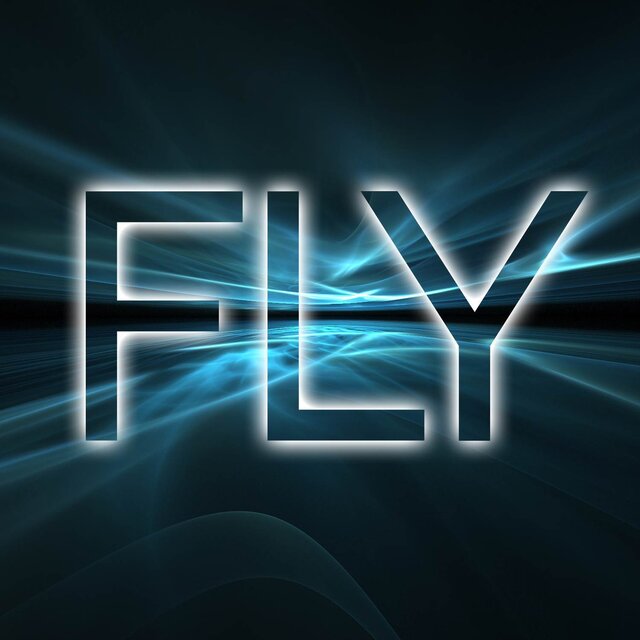 Fly