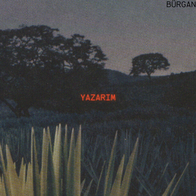 YAZARIM