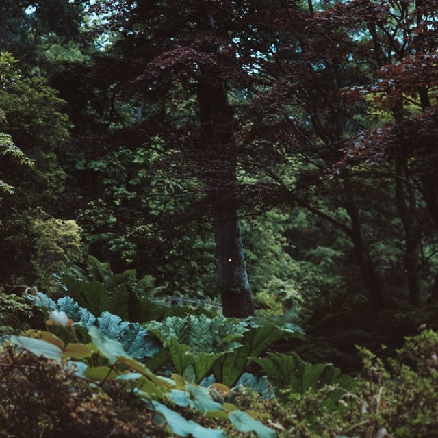 Music to Help You Feel Peaceful and Fall Asleep | Ultimate Wellness Center Sounds, Natural Calm, Spa Treatments