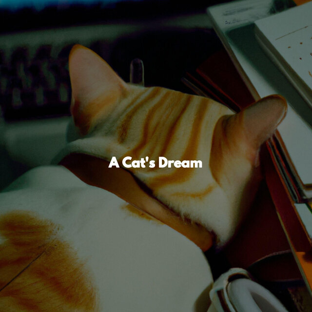 A Cat's Dream