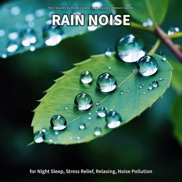 #1 Rain Noise for Night Sleep, Stress Relief, Relaxing, Noise Pollution
