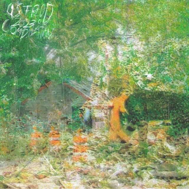 ambient compilation '23