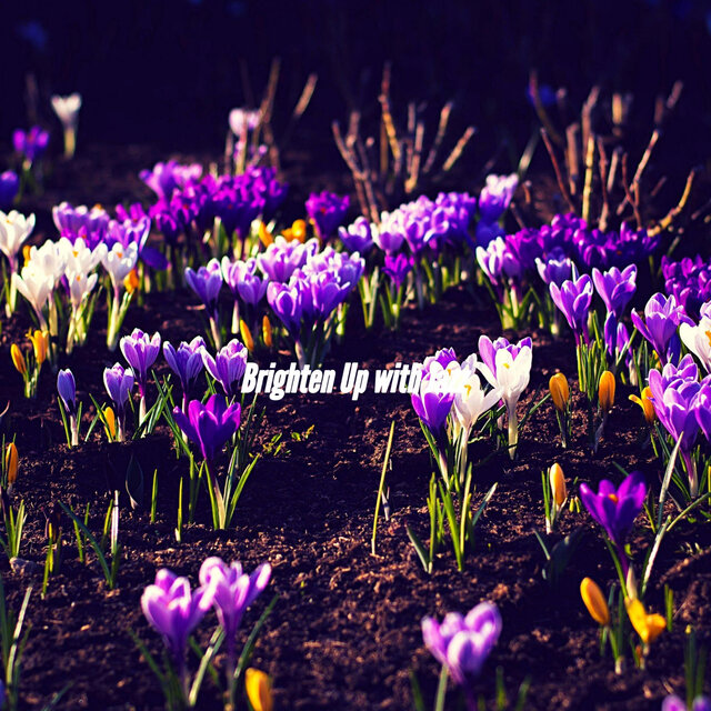 Brighten Up with Jazz