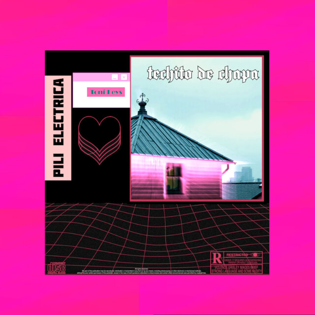 Techito de Chapa
