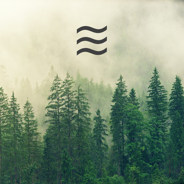 Relajación y meditación Sonidos de lluvia