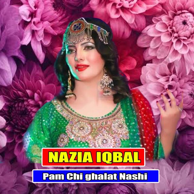 Pam Chi ghalat Nashi