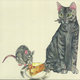 Cover art for album Gatos e Ratos by Odair José