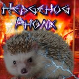 Hedgehog drift phonk